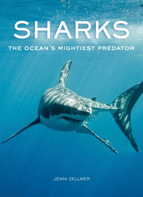 Sharks : The Ocean's Mightiest Predator, Hardback Book