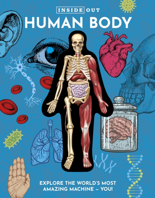 Inside Out Human Body : Explore the World's Most Amazing Machine - You!, Hardback Book