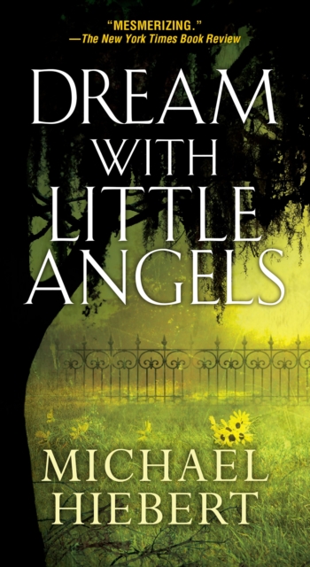 Dream With Little Angels, Paperback / softback Book