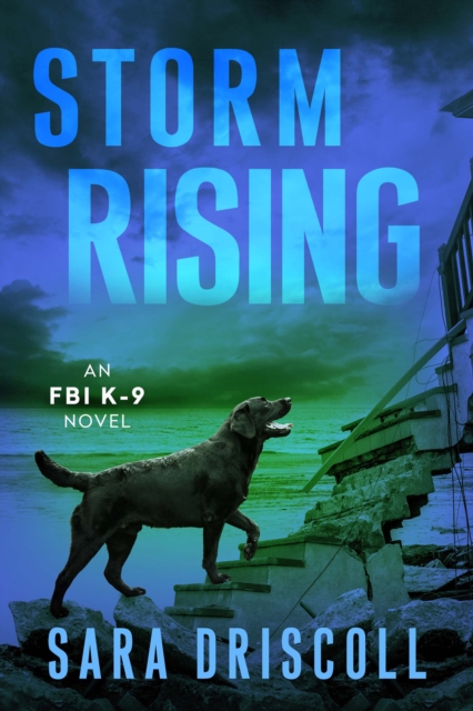 Storm Rising, EPUB eBook