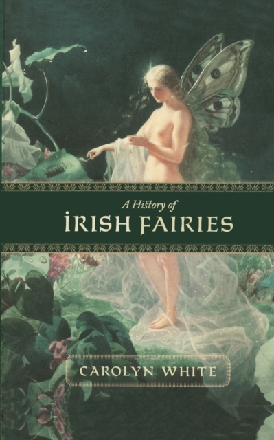A History of Irish Fairies, Paperback / softback Book