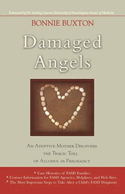 Damaged Angels : An Adoptive Mother Discovers the Tragic Toll of Alcohol in Pregnancy, Paperback / softback Book