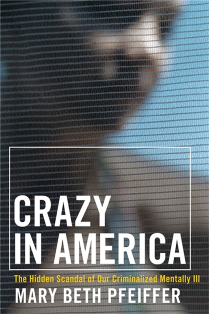 Crazy in America : The Hidden Tragedy of Our Criminalized Mentally Ill, Paperback / softback Book