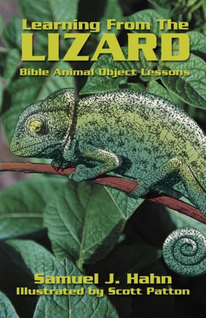Learning from the Lizard, Book Book