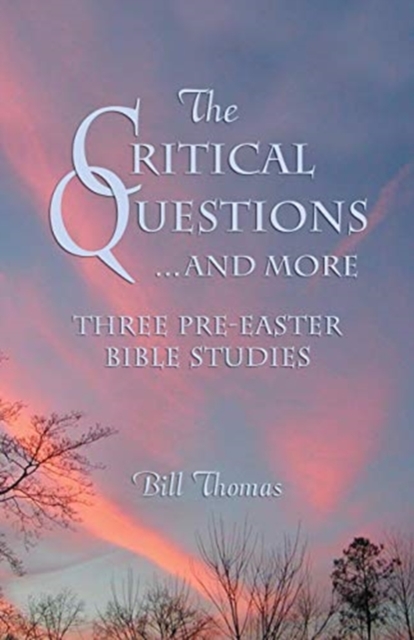 The Critical Questions...and More, Paperback / softback Book