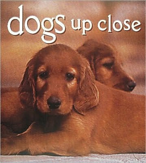 Dogs Up Close, Hardback Book