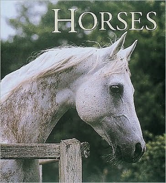 Horses, Hardback Book