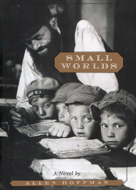 Small Worlds, Paperback / softback Book