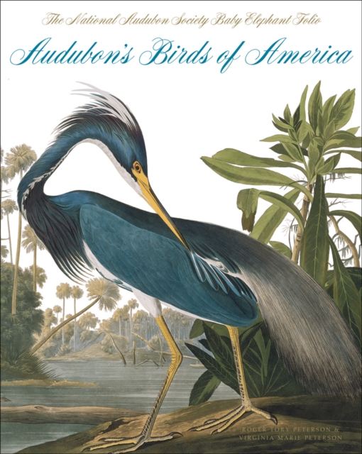 Audubon's Birds Of America : The National Audubon Society Baby Elephant Folio, Hardback Book