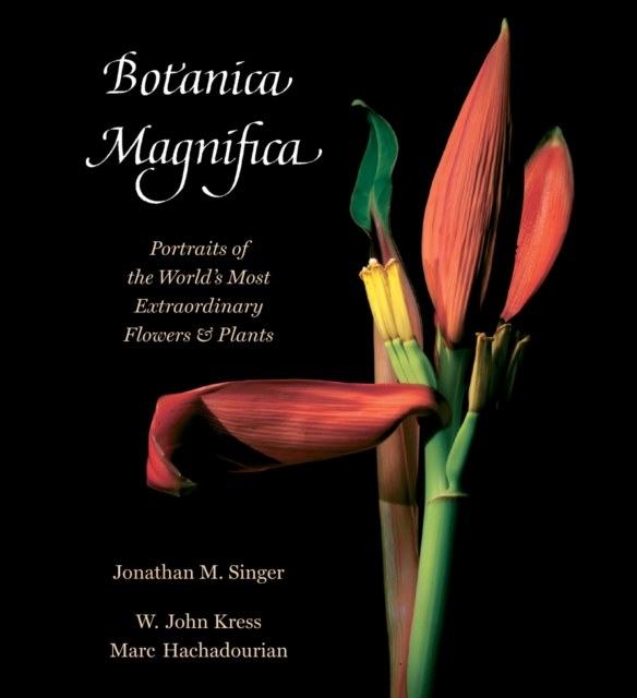 Botanica Magnifica : Portraits of the World's Most Extraordinary Flowers and Plants, Hardback Book