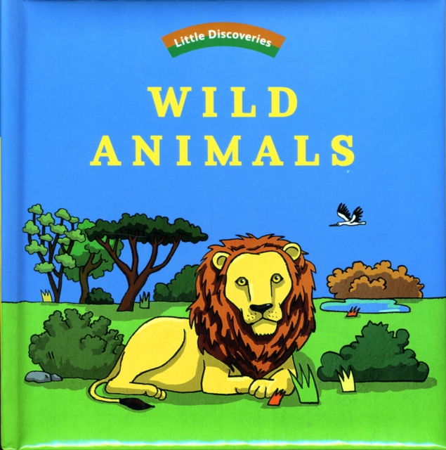 Wild Animals: Little Discoveries, Board book Book
