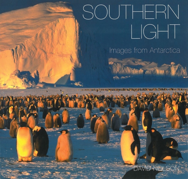Southern Light : Images from Antarctica, Hardback Book