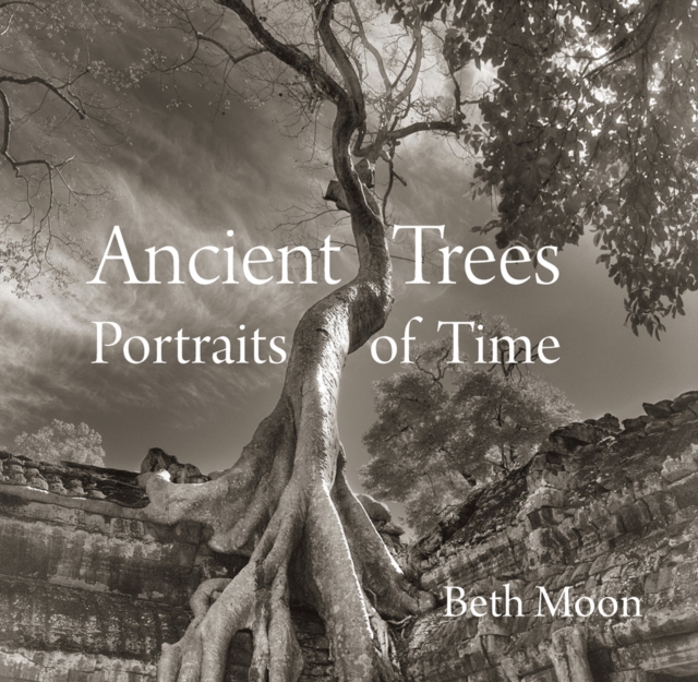 Ancient Trees : Portraits of Time, Hardback Book