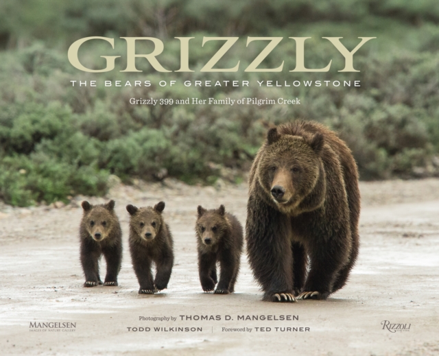 Grizzly : The Bears of Greater Yellowstone, Hardback Book