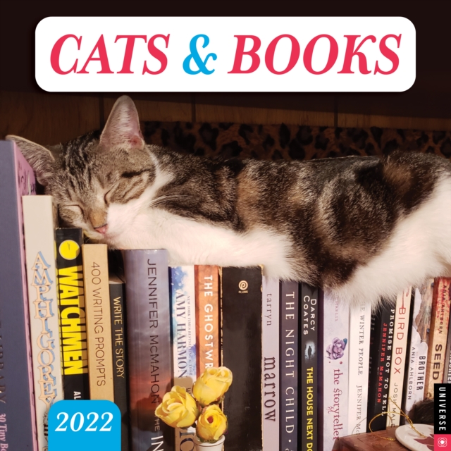 Cats & Books 2022 Wall Calendar, Calendar Book