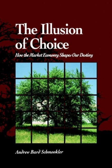 The Illusion of Choice : How the Market Economy Shapes Our Destiny, Paperback / softback Book
