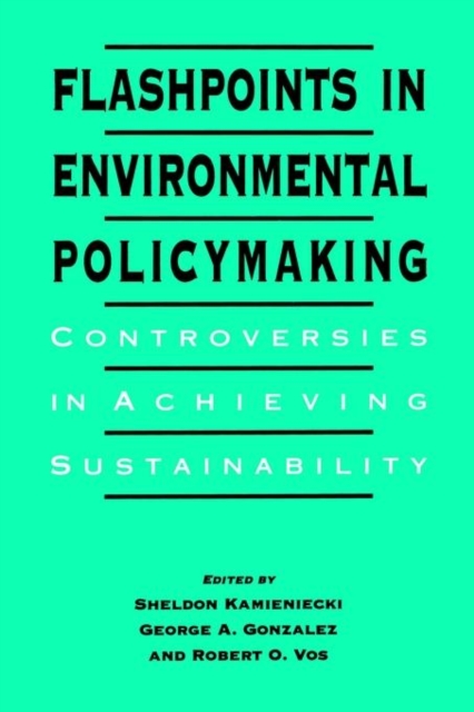 Flashpoints in Environmental Policymaking : Controversies in Achieving Sustainability, Paperback / softback Book
