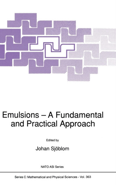 Emulsions - A Fundamental and Practical Approach : Proceedings of the NATO Advanced Research Workshop Held in Bergen, Norway, June 24-25, 1991, Hardback Book