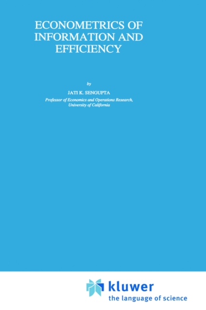 Econometrics of Information and Efficiency, Hardback Book