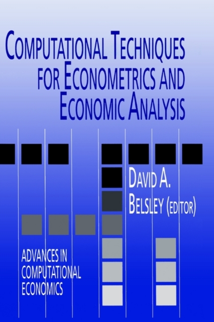 Computational Techniques for Econometrics and Economic Analysis, Hardback Book