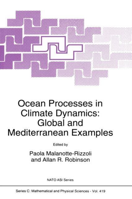 Ocean Processes in Climate Dynamics : Global and Mediterranean Examples, Hardback Book