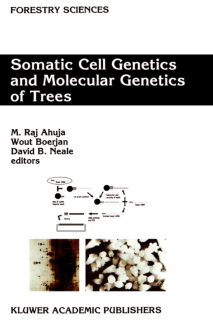 Somatic Cell Genetics and Molecular Genetics of Trees, Hardback Book