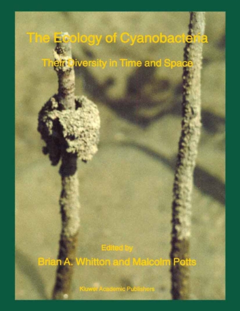 The Ecology of Cyanobacteria : Their Diversity in Time and Space, Paperback / softback Book