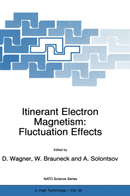 Itinerant Electron Magnetism: Fluctuation Effects, Paperback / softback Book