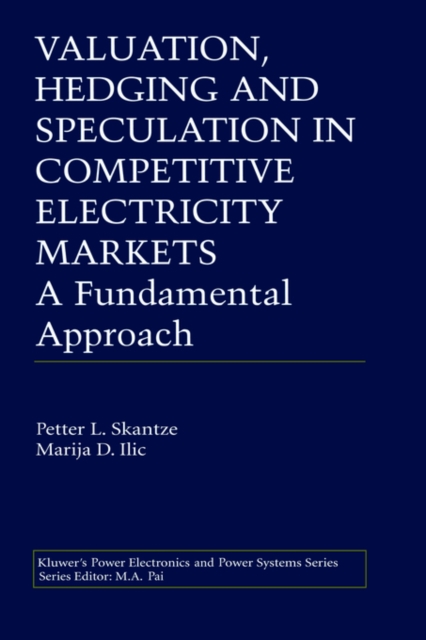Valuation, Hedging and Speculation in Competitive Electricity Markets : A Fundamental Approach, Hardback Book