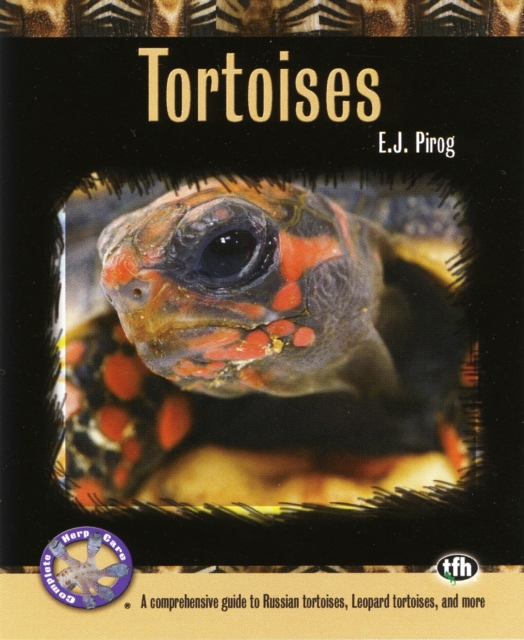 Tortoises : A Comprehensive Guide to Russian Tortoises, Leopard Tortises, and More, Paperback / softback Book