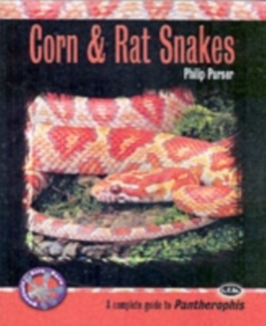 Corn and Rat Snakes, Paperback / softback Book