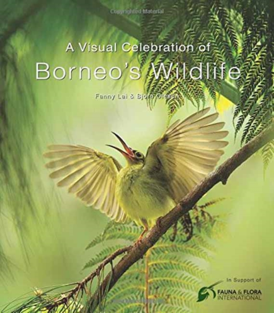 A Visual Celebration of Borneo's Wildlife : [All Royalties Donated to Fauna & Flora International], Hardback Book