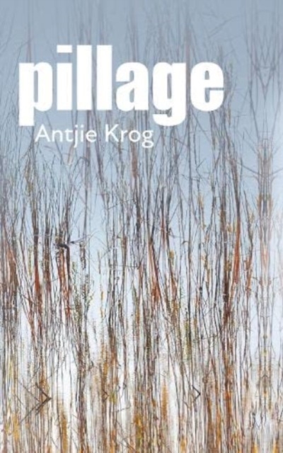 Pillage, Paperback / softback Book