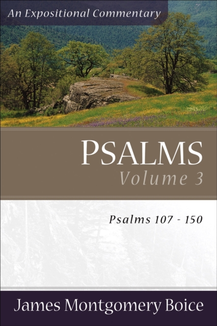 Psalms - Psalms 107-150, Paperback / softback Book