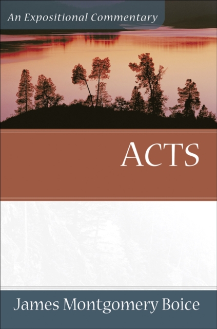 Acts - An Expositional Commentary, Paperback / softback Book