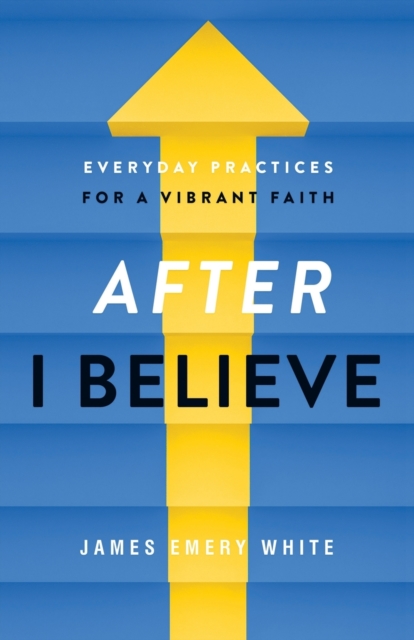 After "I Believe" - Everyday Practices for a Vibrant Faith, Paperback / softback Book