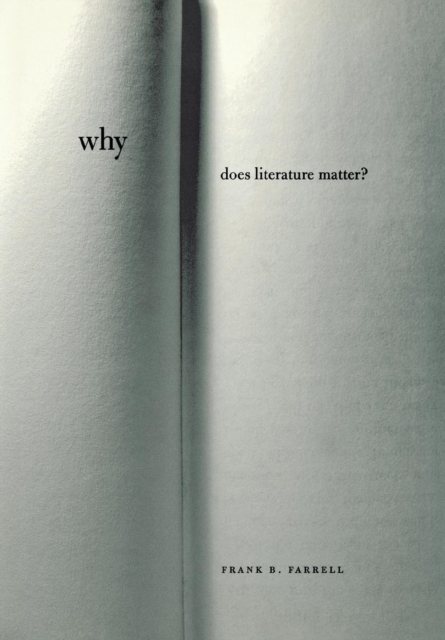 Why Does Literature Matter?, Hardback Book