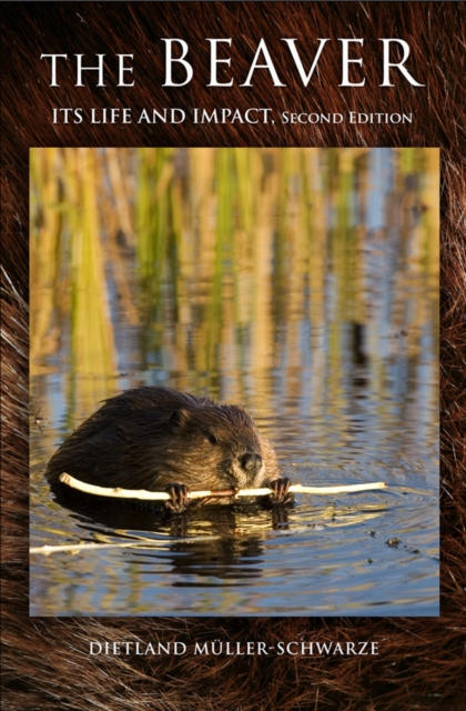 The Beaver : Natural History of a Wetlands Engineer, Hardback Book