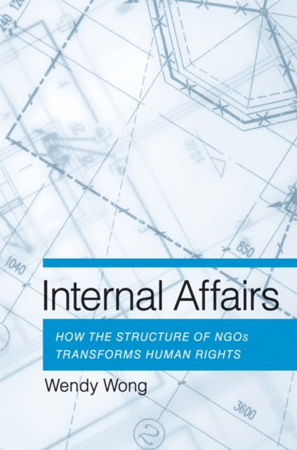 Internal Affairs : How the Structure of NGOs Transforms Human Rights, Hardback Book