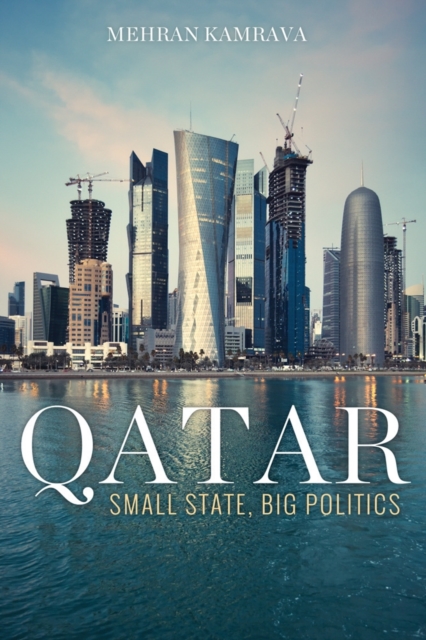 Qatar : Small State, Big Politics, PDF eBook