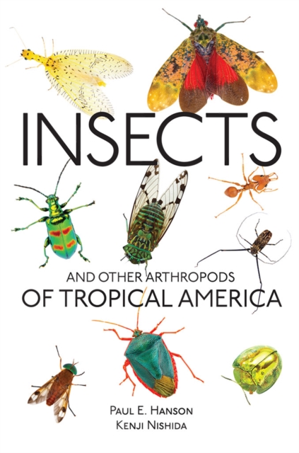 Insects and Other Arthropods of Tropical America, Paperback / softback Book