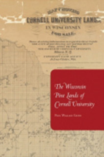 The Wisconsin Pine Lands of Cornell University, Paperback / softback Book