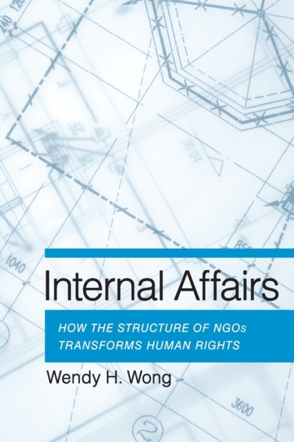 Internal Affairs : How the Structure of NGOs Transforms Human Rights, Paperback / softback Book