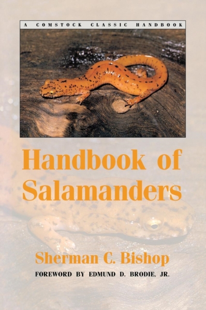 Handbook of Salamanders : The Salamanders of the United States, of Canada, and of Lower California, Paperback / softback Book