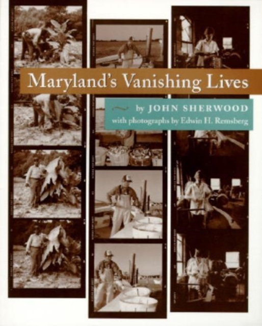 Maryland's Vanishing Lives, Paperback / softback Book