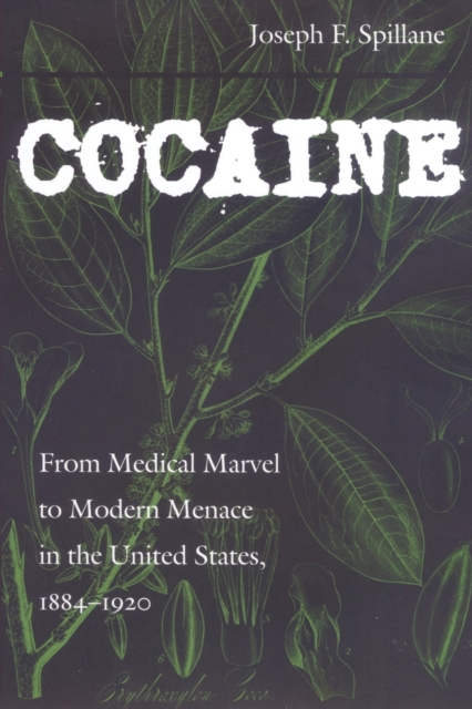 Cocaine : From Medical Marvel to Modern Menace in the United States, 1884-1920, Paperback / softback Book