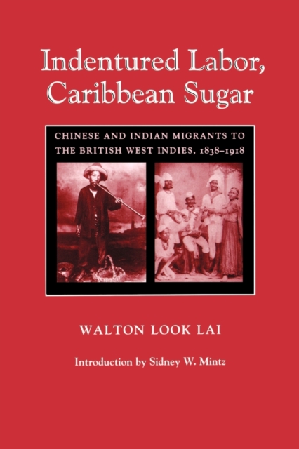 Indentured Labor, Caribbean Sugar : Chinese and Indian Migrants to the British West Indies, 1838-1918, Paperback / softback Book