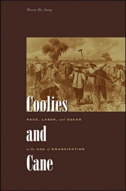 Coolies and Cane : Race, Labor, and Sugar in the Age of Emancipation, Hardback Book