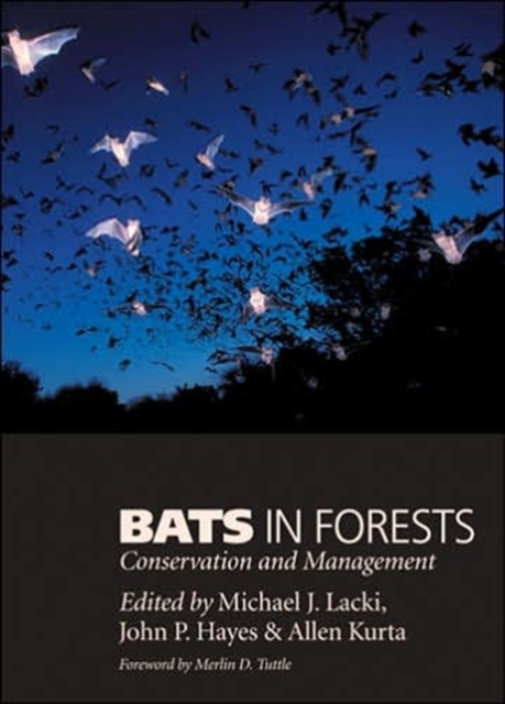 Bats in Forests : Conservation and Management, Hardback Book