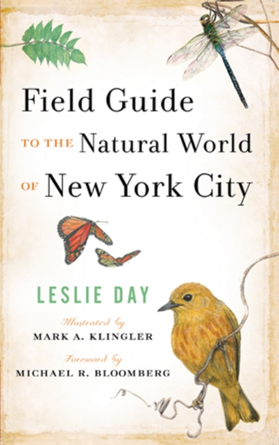 Field Guide to the Natural World of New York City, Paperback / softback Book